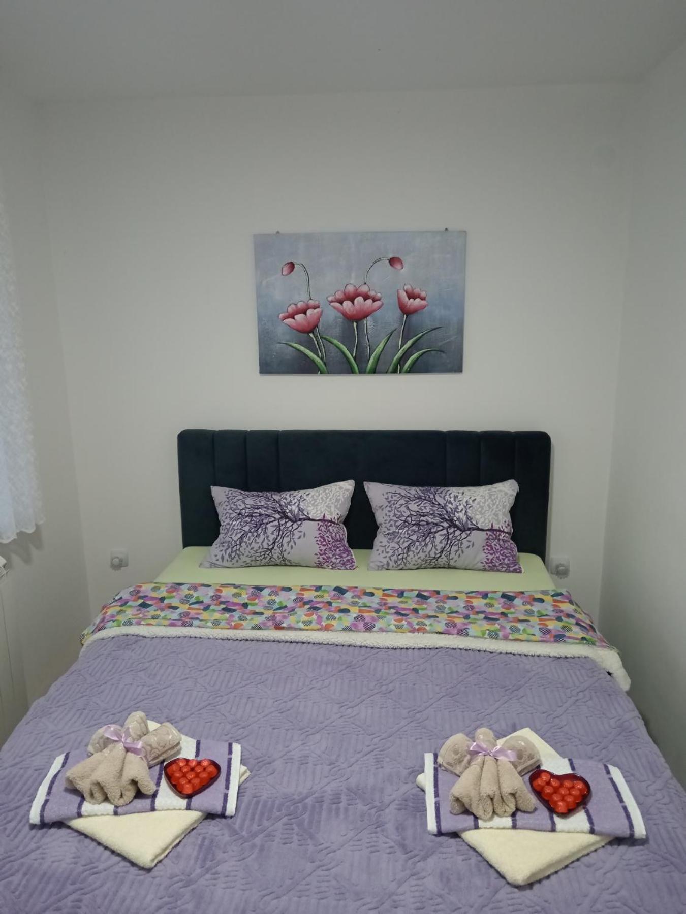 Apartman Lara Pirot Rum bild