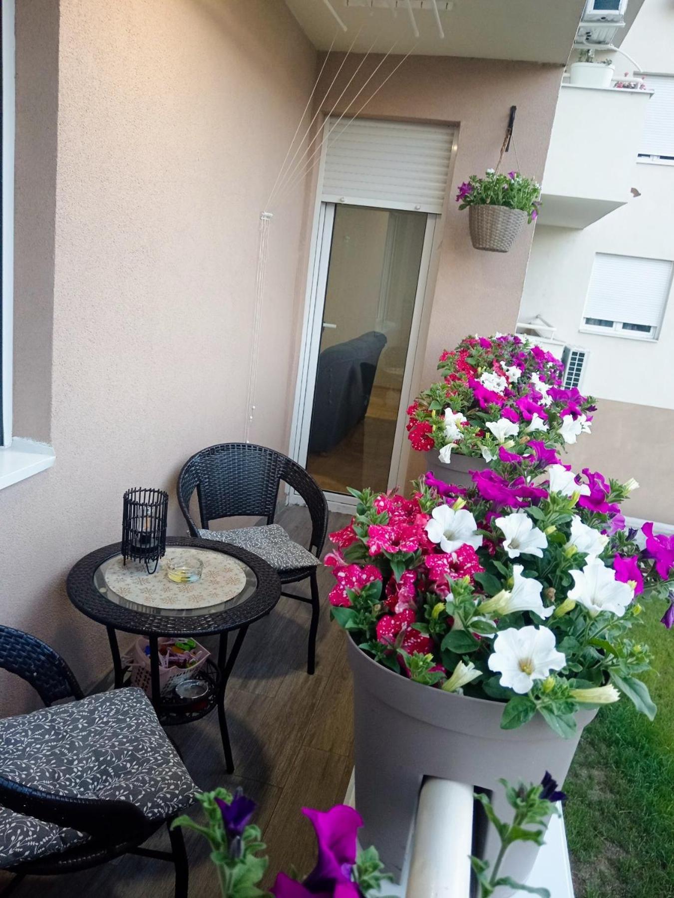 Apartman Lara Pirot Exteriör bild